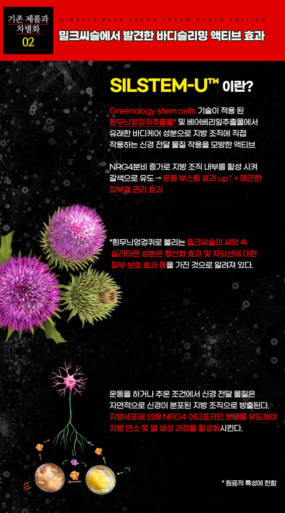 미라클에디션 이미지
