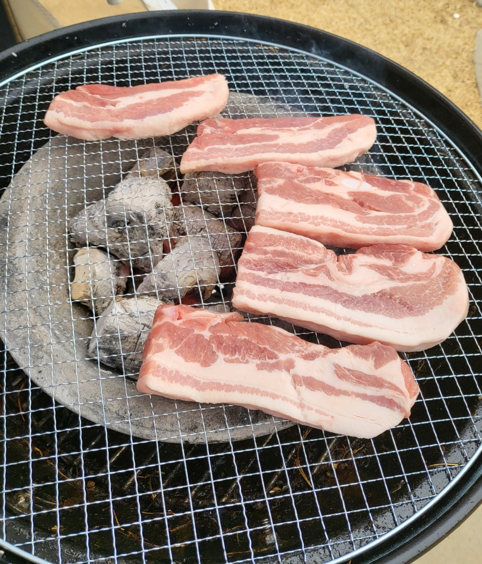 구어판다 이미지