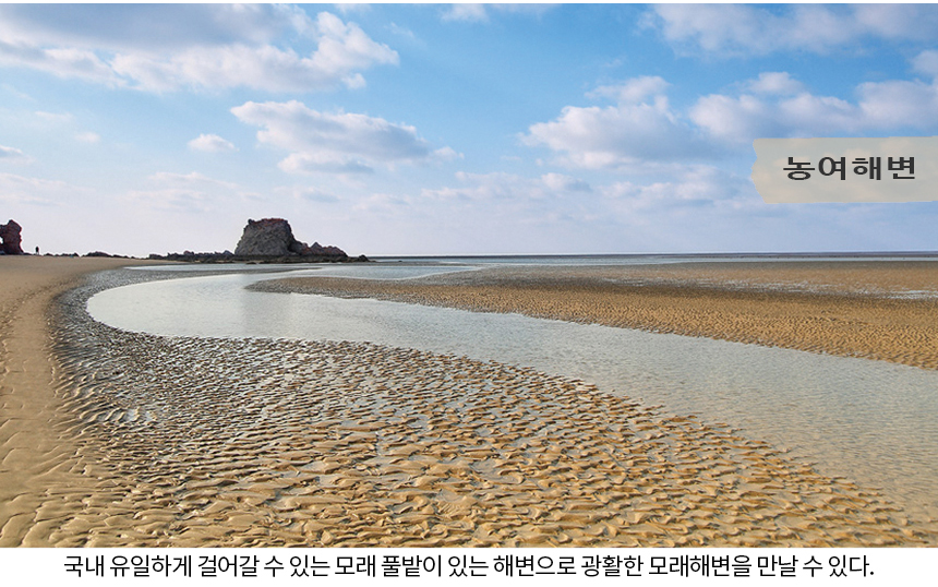 힐링투어라인 이미지