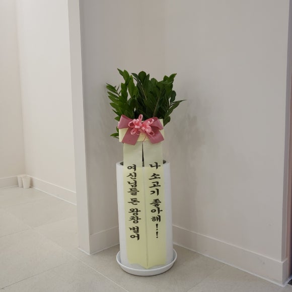 선유아헤어 이미지