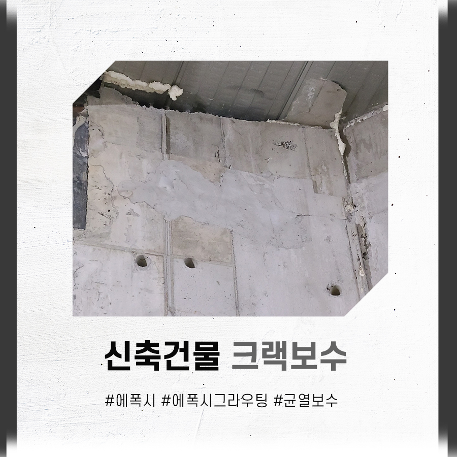 디엔에스산업개발 이미지