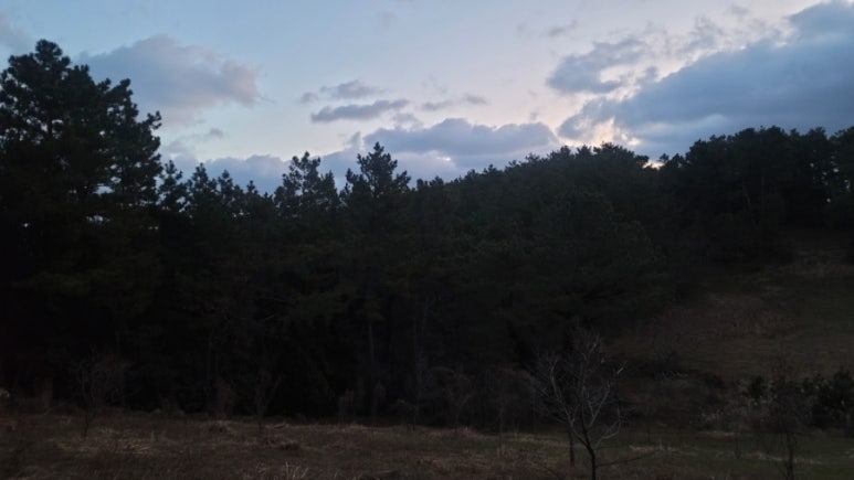 오름라이팅 이미지