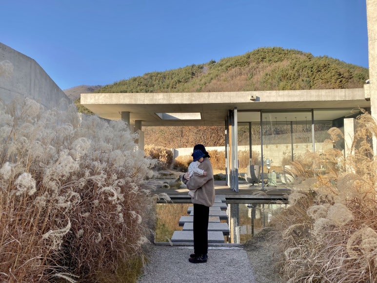 수도서림 이미지