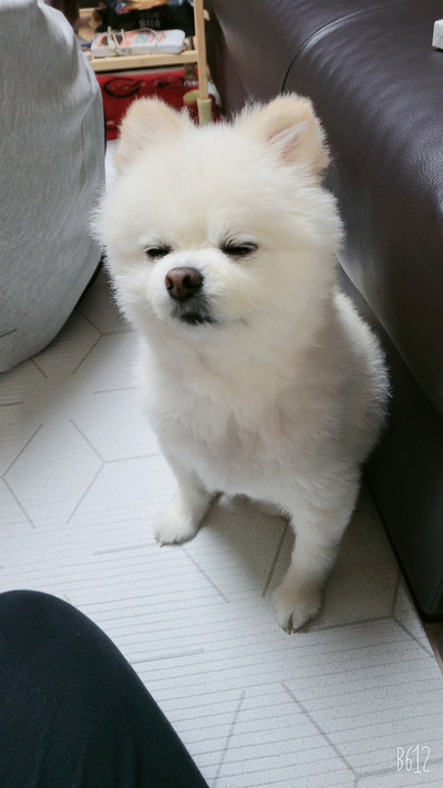 강두부 이미지