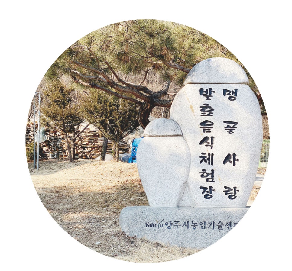 맹골사랑 이미지