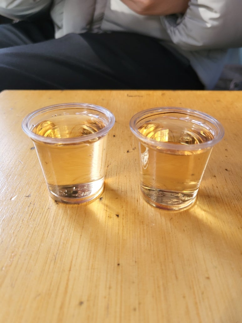 리얼타코 이미지