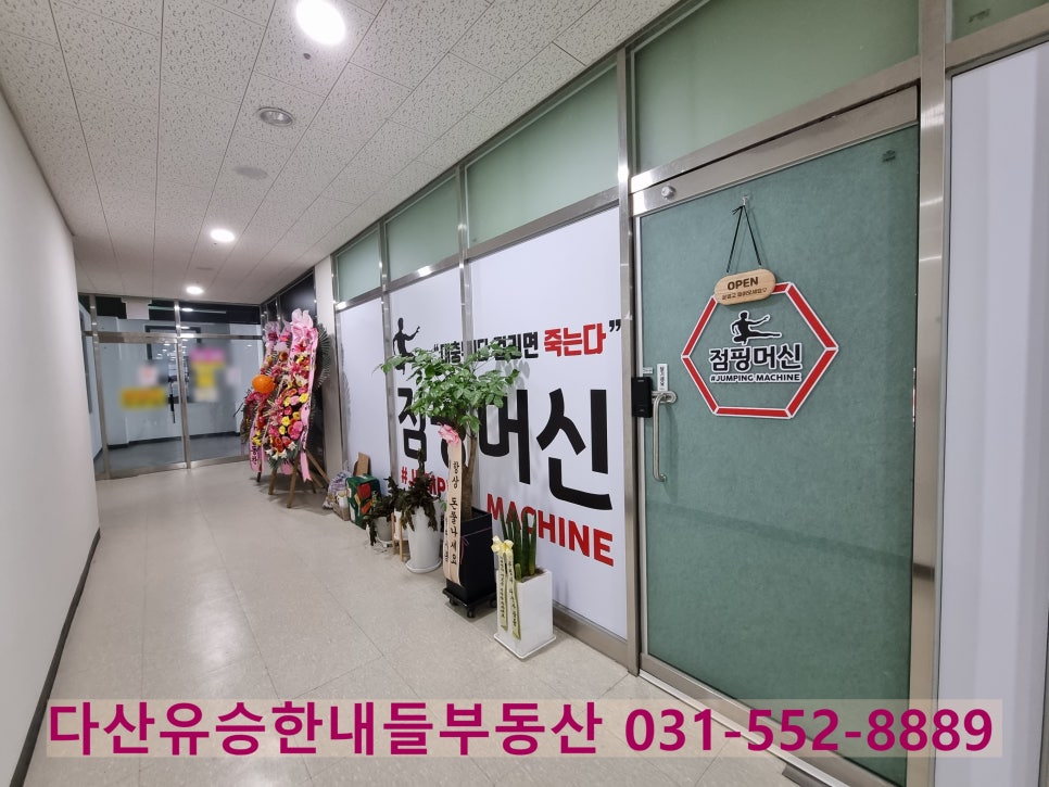 다원 점핑 이미지