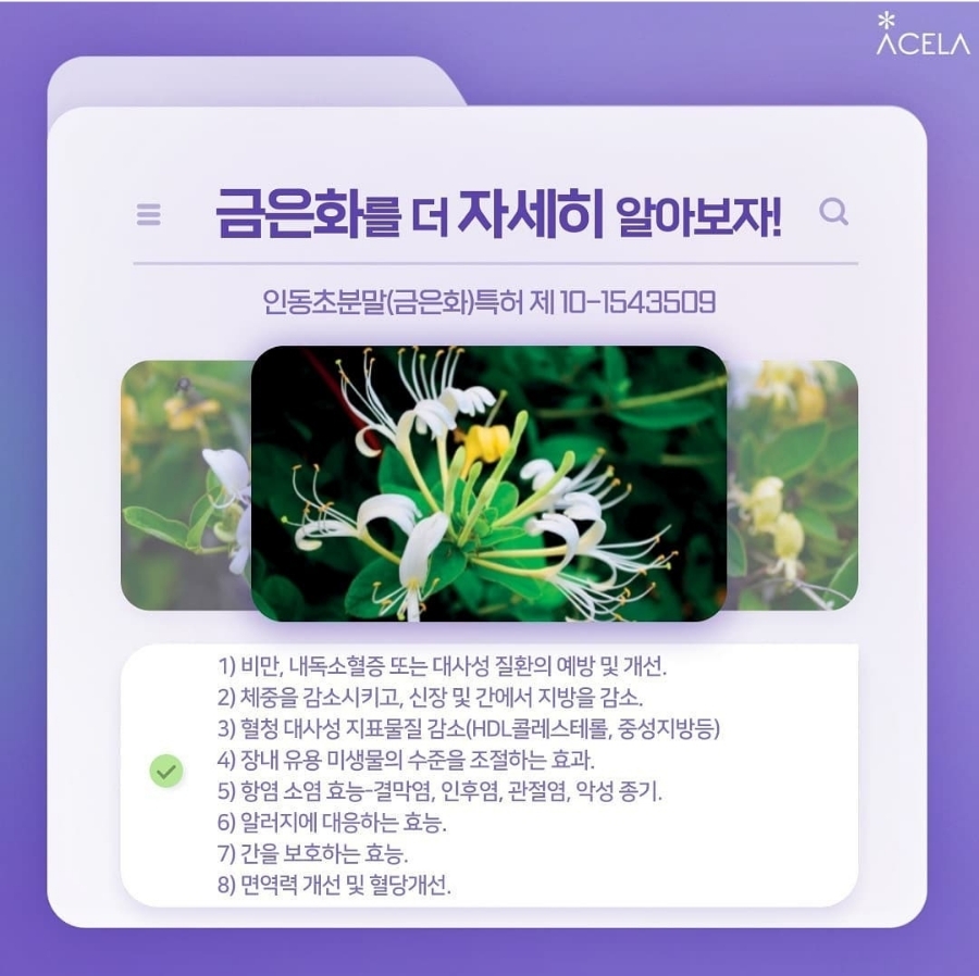 더샵짱 이미지