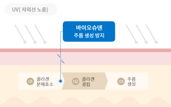 바이오슈 이미지