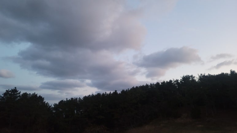 오름라이팅 이미지