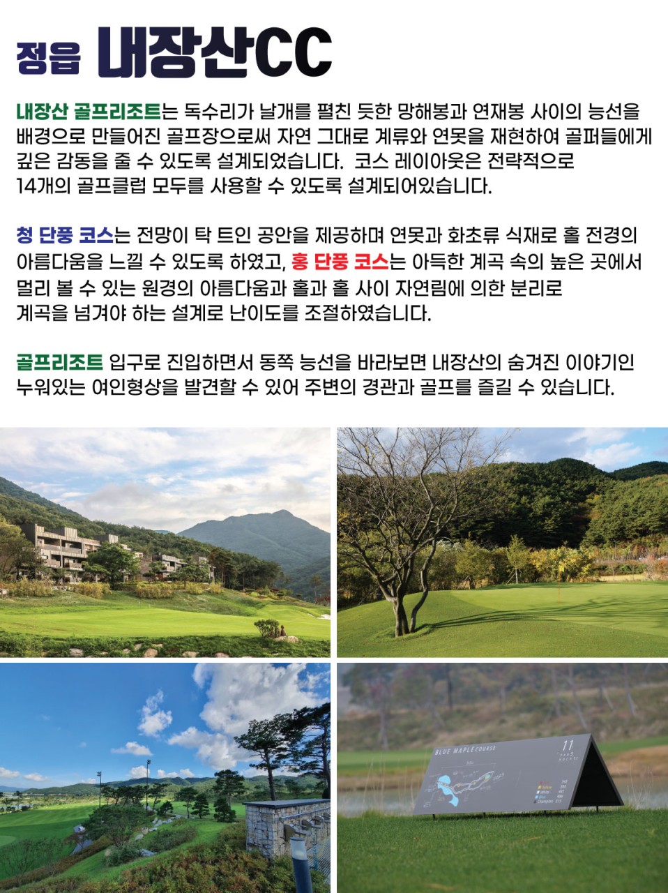 솔투어&골프 이미지