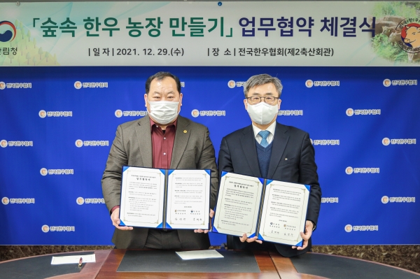 숲속한우 이미지