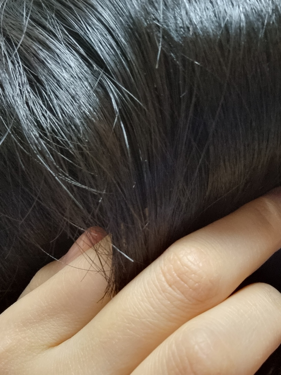 헤어바이달리 이미지