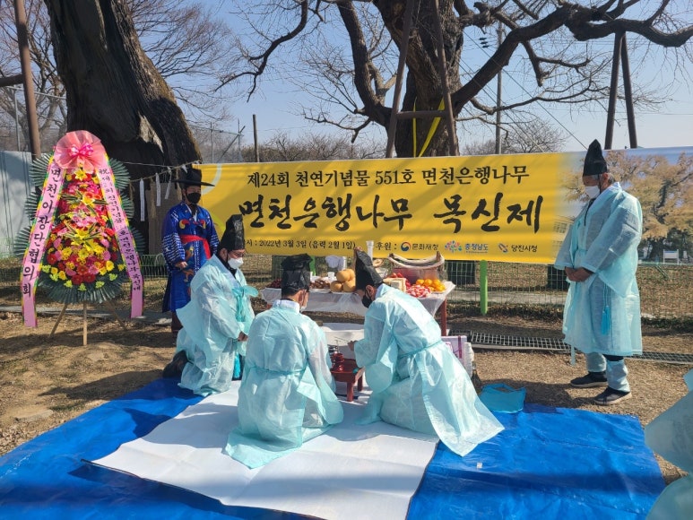 효심개발 이미지