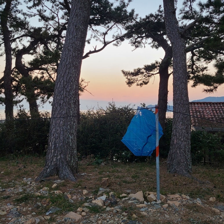 회뜨는친구 이미지