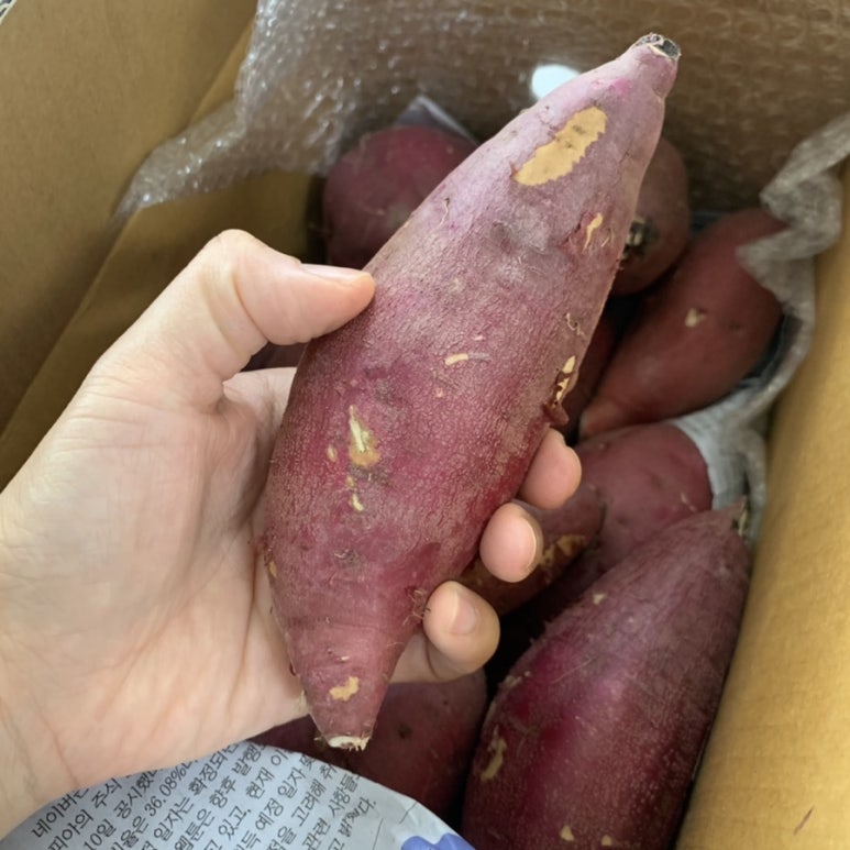 진영팜 이미지