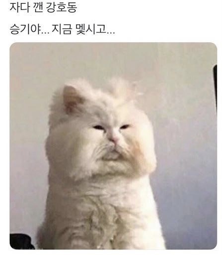 카페천국 이미지