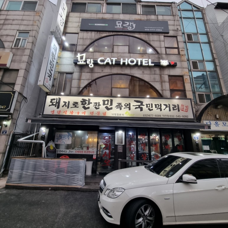 돼지로한판민족의국민먹거리(돼한민국) 이미지