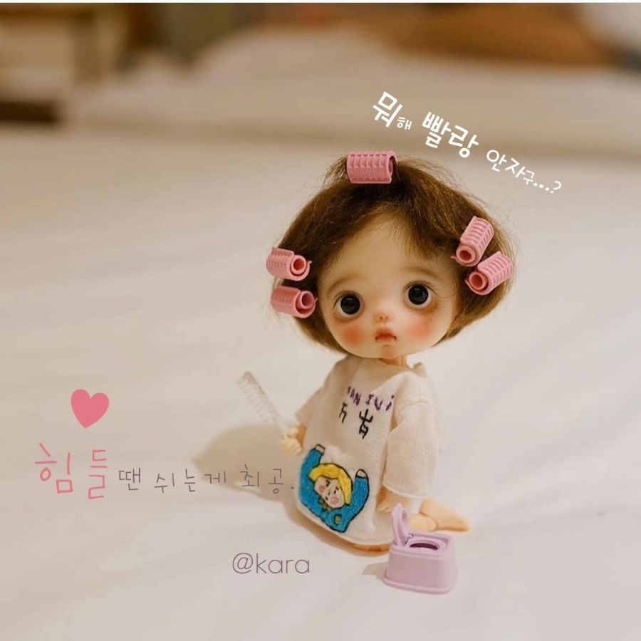 알찬하루 이미지
