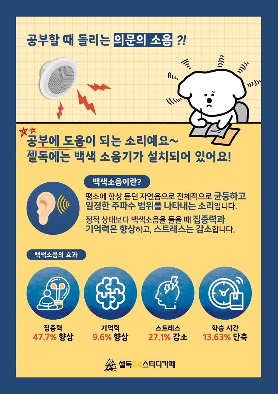 셀독풍암점 이미지