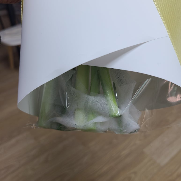 본비플레르 이미지