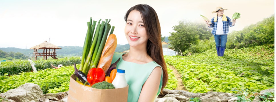 대백야채 이미지