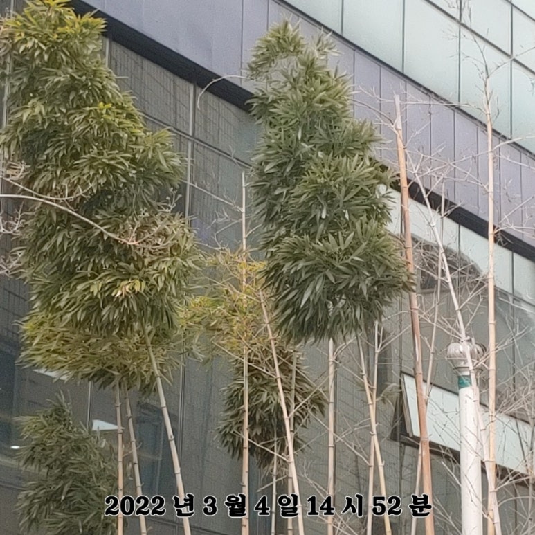 비비큐수원원천점 이미지