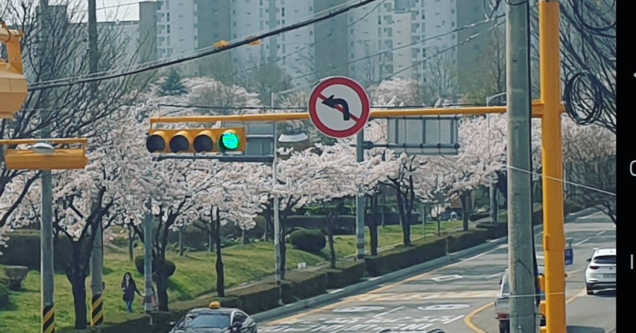 마임(동부지사) 이미지
