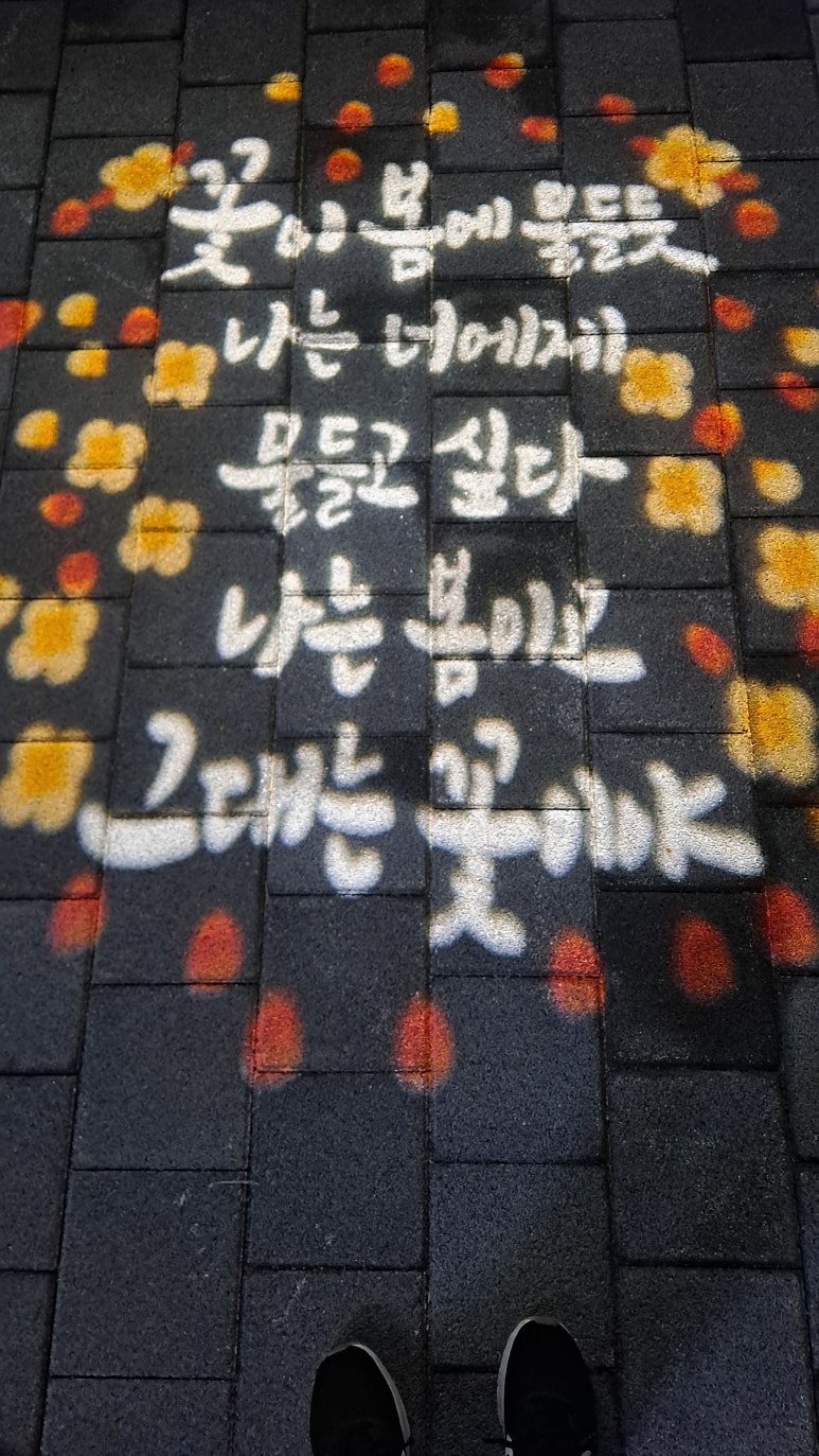 캠핑박사 이미지