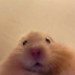 잘자 이미지