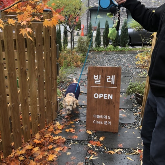 빌레조명 이미지