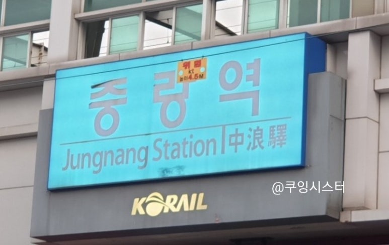 대파집중랑 이미지