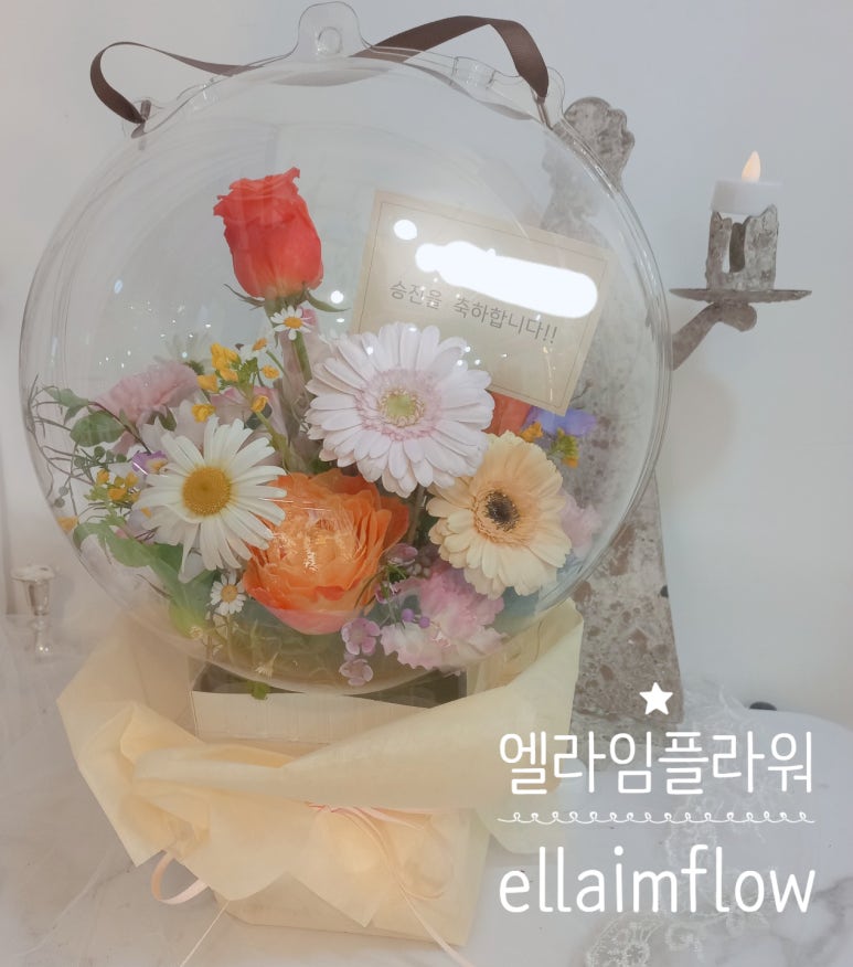엘라임 이미지