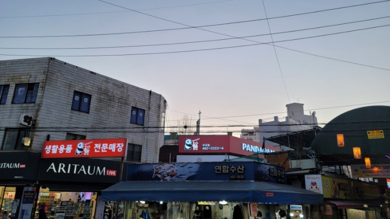 판다팜 이미지