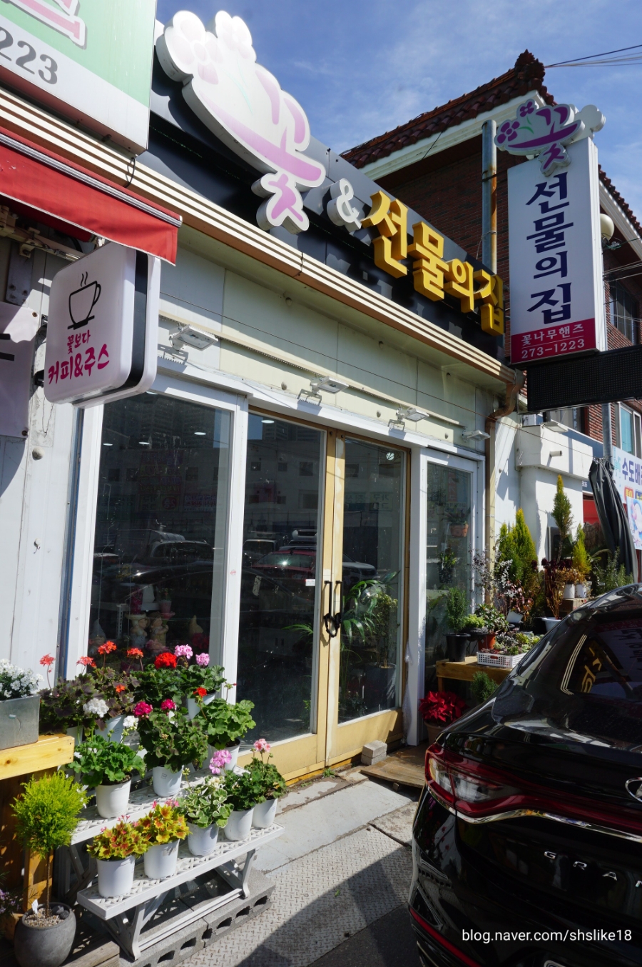 꽃나무핸즈 이미지