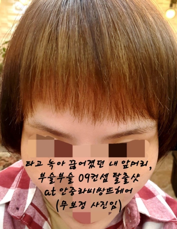 헤어쟁이 이미지