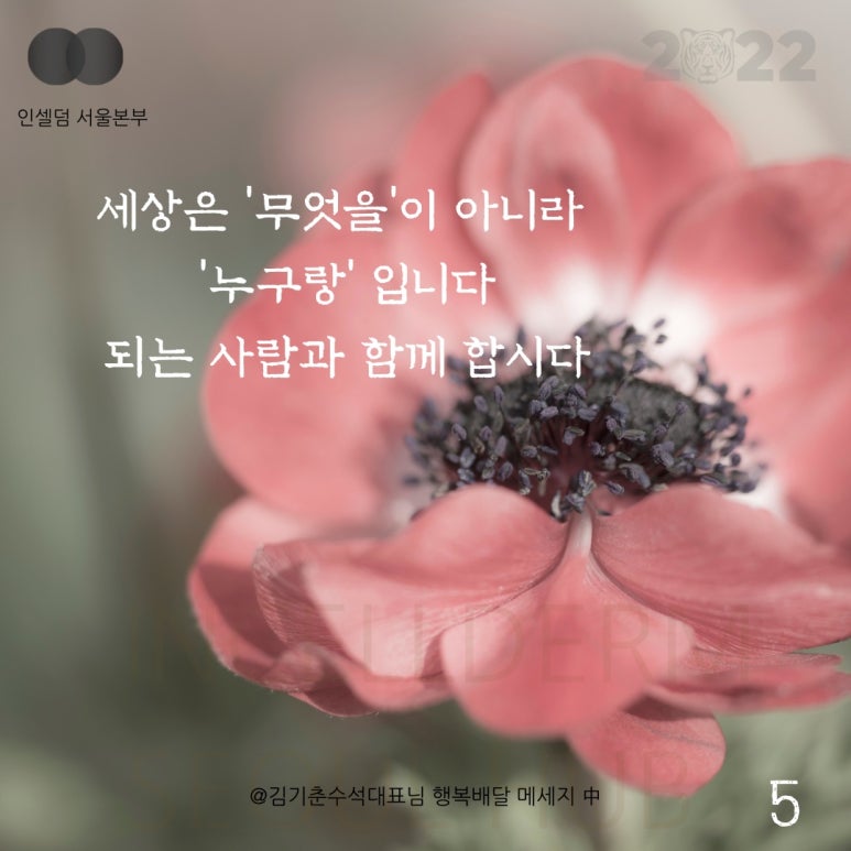 미셀주 이미지