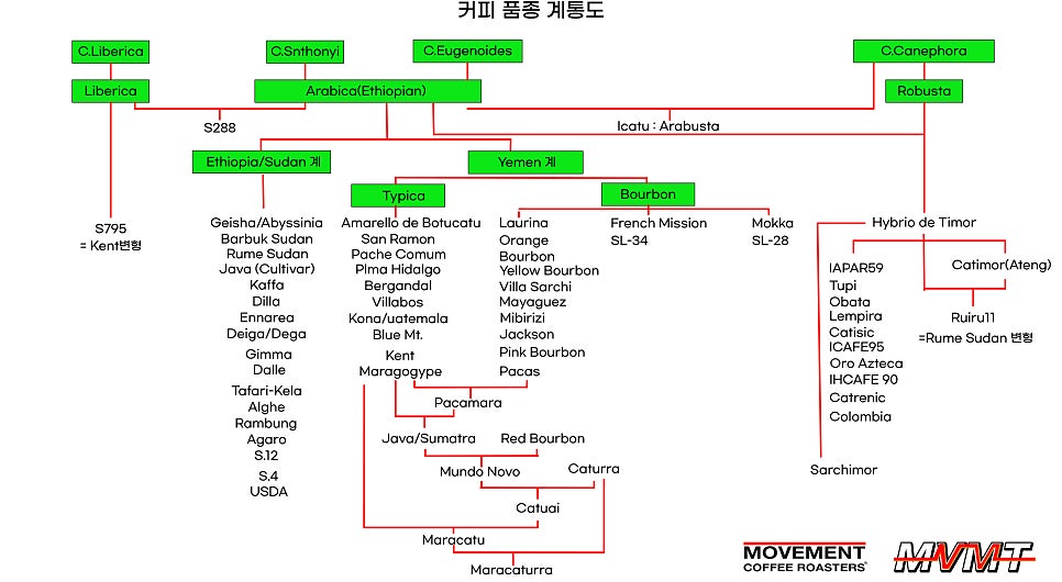무브먼트커피로스터스 이미지