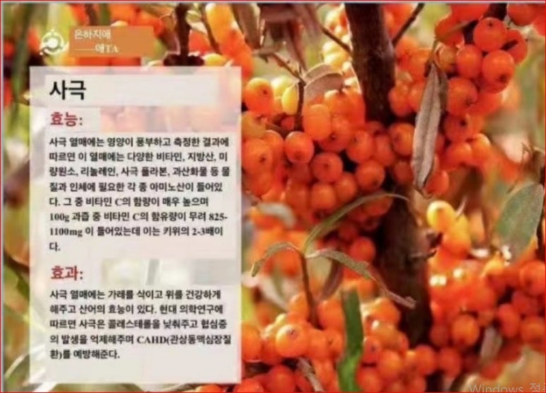 은하생활용품 이미지