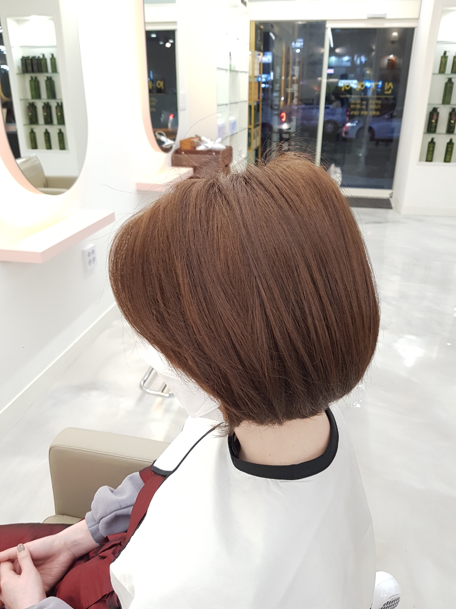 둔전손칼국수 이미지