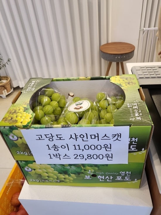대구청과 이미지