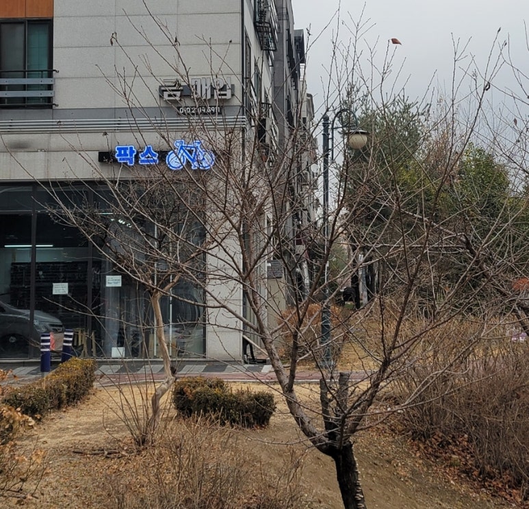 팍스바이시클 이미지