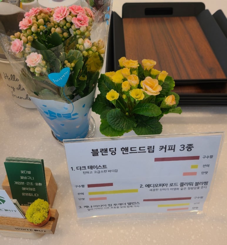 인투그린 이미지