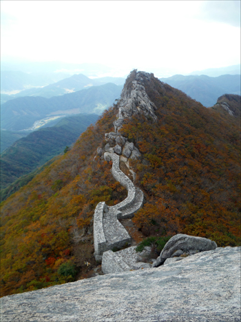 동양재 이미지