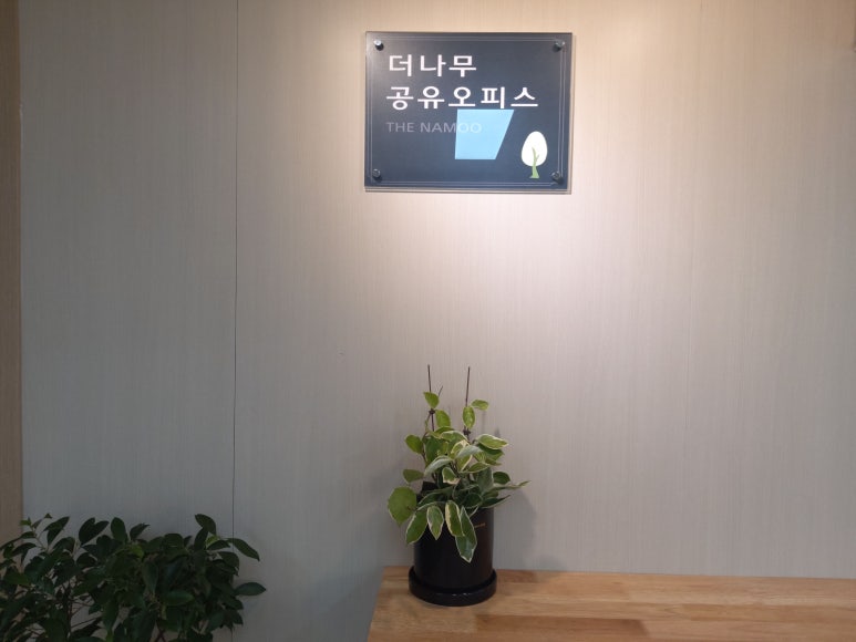 오피스나무 이미지