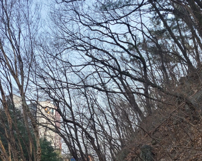 진솔산림기술사사무소 이미지