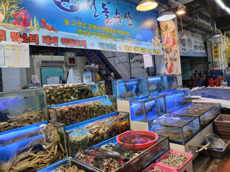 선돌수산 이미지