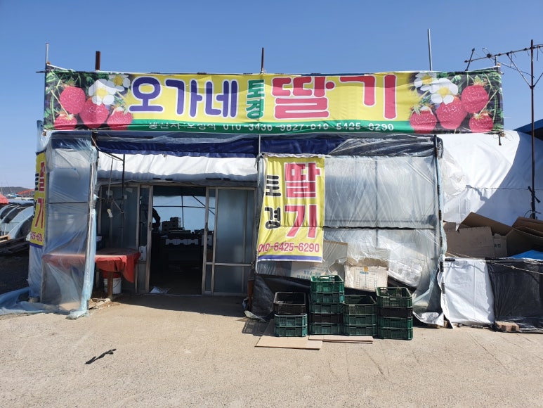 해피인력 이미지