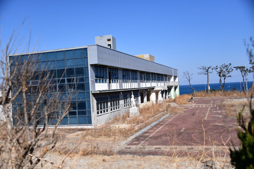 손재림의료재단부산손한의원의 이미지