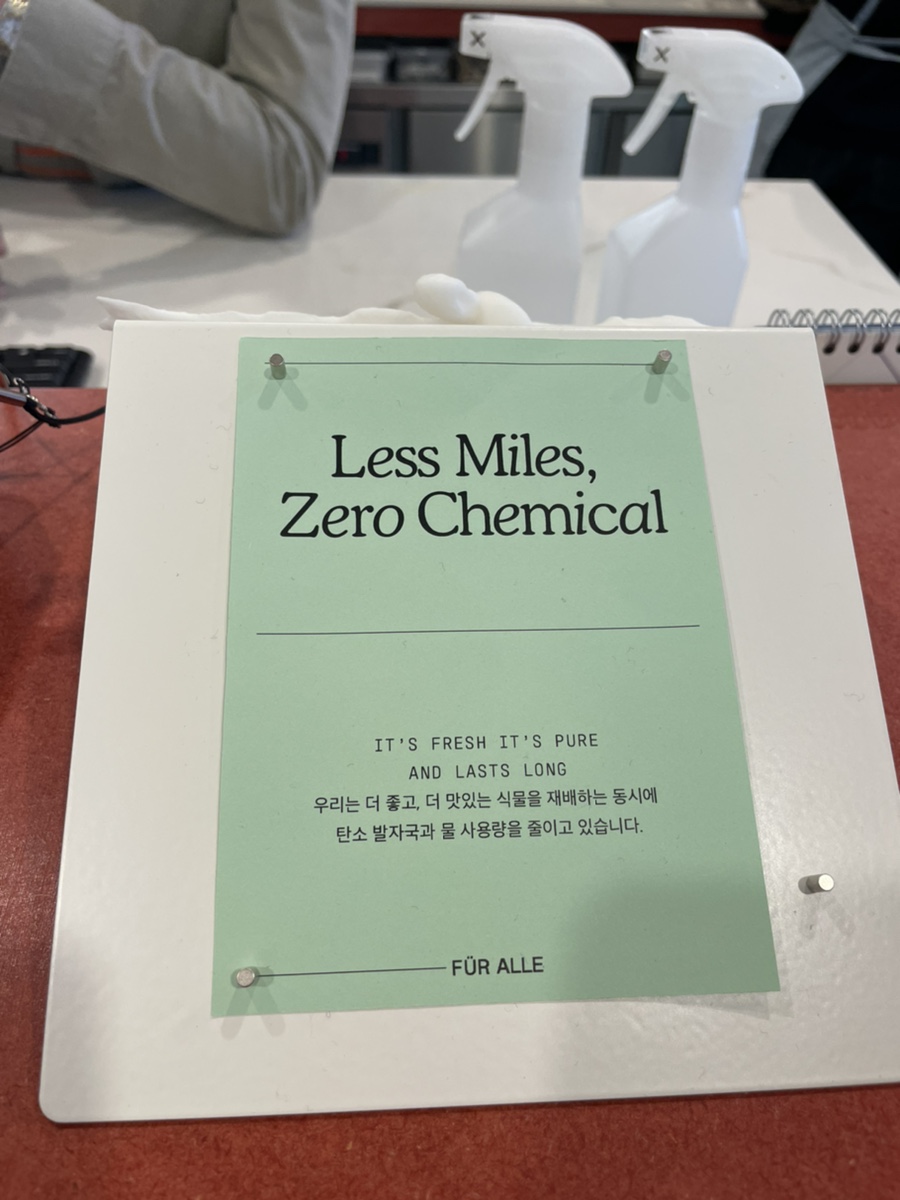 알레(alle) 이미지